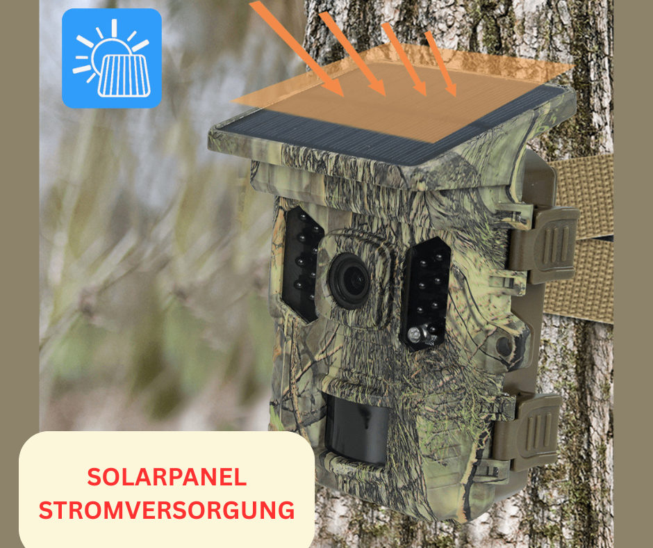 Solar-Wildkamera mit WLAN & Bluetooth – gestochen scharfe Aufnahmen direkt aufs Smartphone